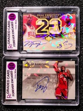 LeBron James, Michael Jordan Cracked Ice Holographic Autographed Basketball Set